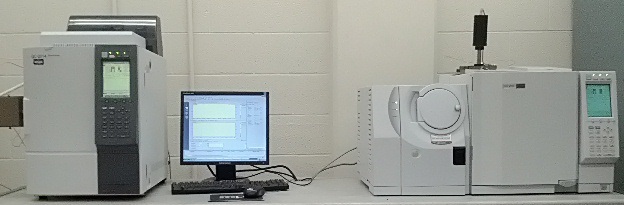 Gas chromatography–flame ionization detector (GC–FID) chromatogram